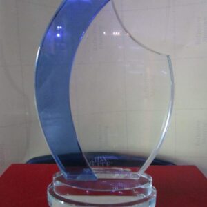 Corporate Blue Crystal Plaque