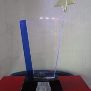 Blue Star Crystal Plaque