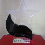 Black Transparent Crystal Plaque