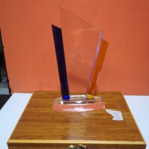 Acrylic Award