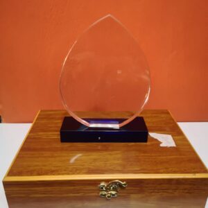 Acrylic Award