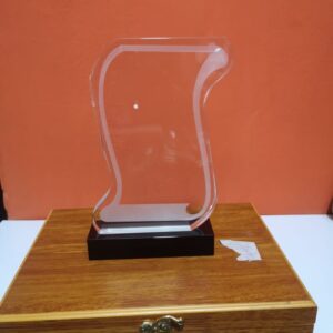 Acrylic Award