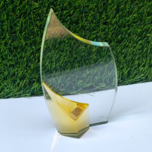 Crystal Award