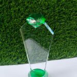 Crystal Award