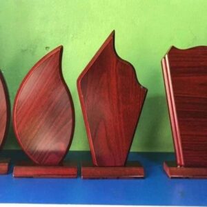Wooden Award