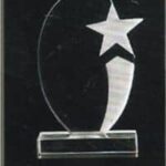 Acrylic Award
