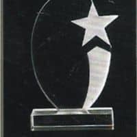 Acrylic Award