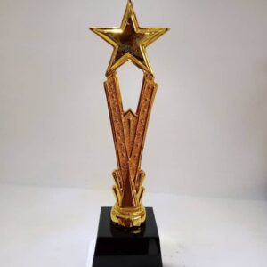 Metal Award